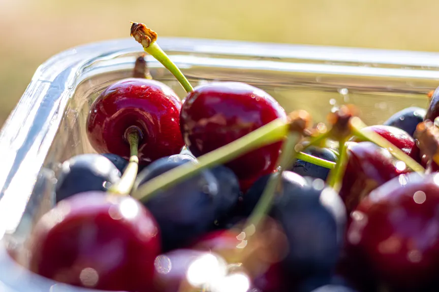 Cherries for the picnic